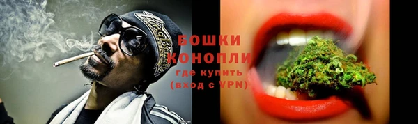 spice Нея