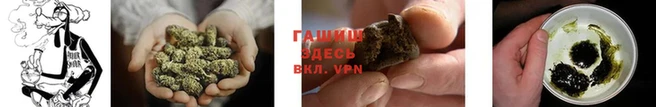 крисы Нефтегорск