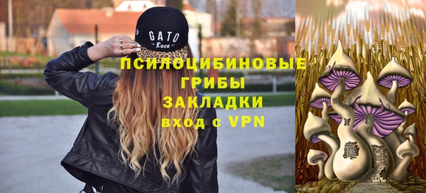 ешки Нефтекумск