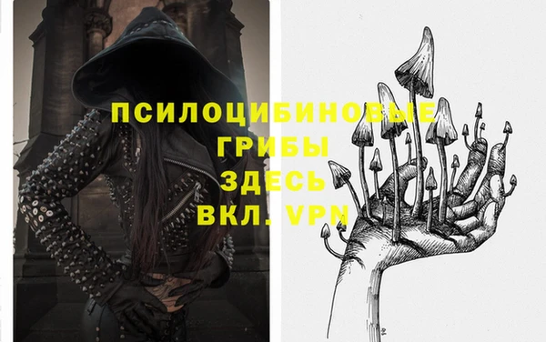 крисы Нефтегорск