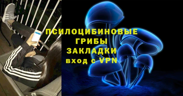 ешки Нефтекумск