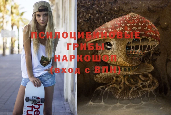 spice Нея