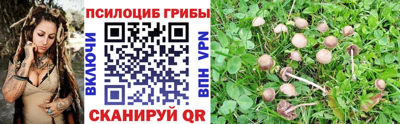 цены Электроугли Галлюциногенные грибы прущие грибы